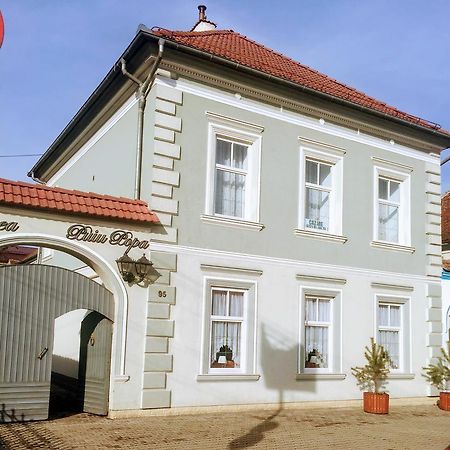 Pensiunea Puiu Popa Codlea Exteriér fotografie