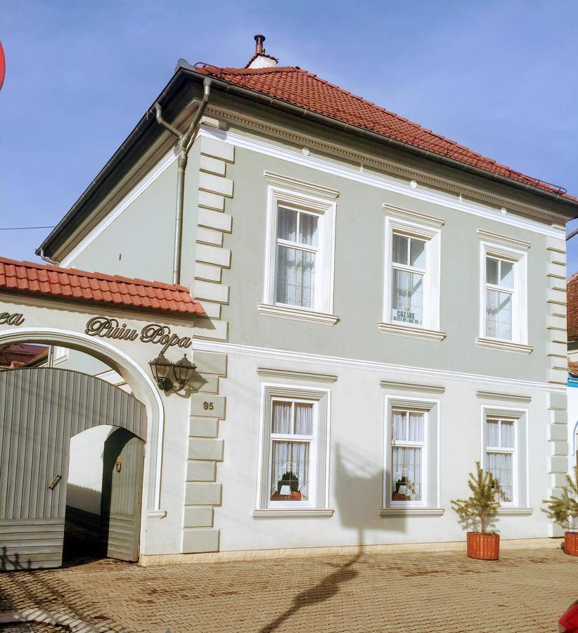 Pensiunea Puiu Popa Codlea Exteriér fotografie