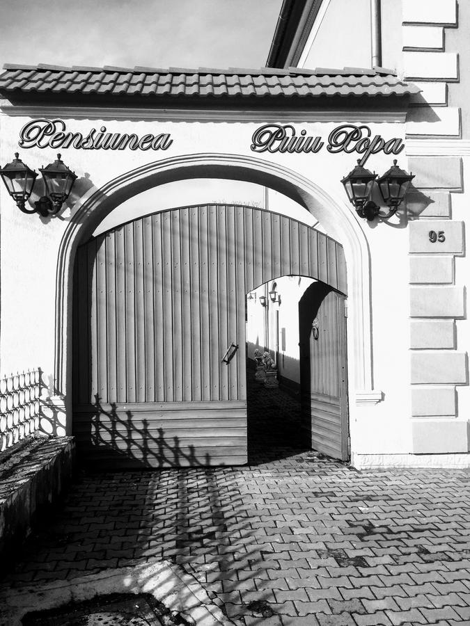 Pensiunea Puiu Popa Codlea Exteriér fotografie
